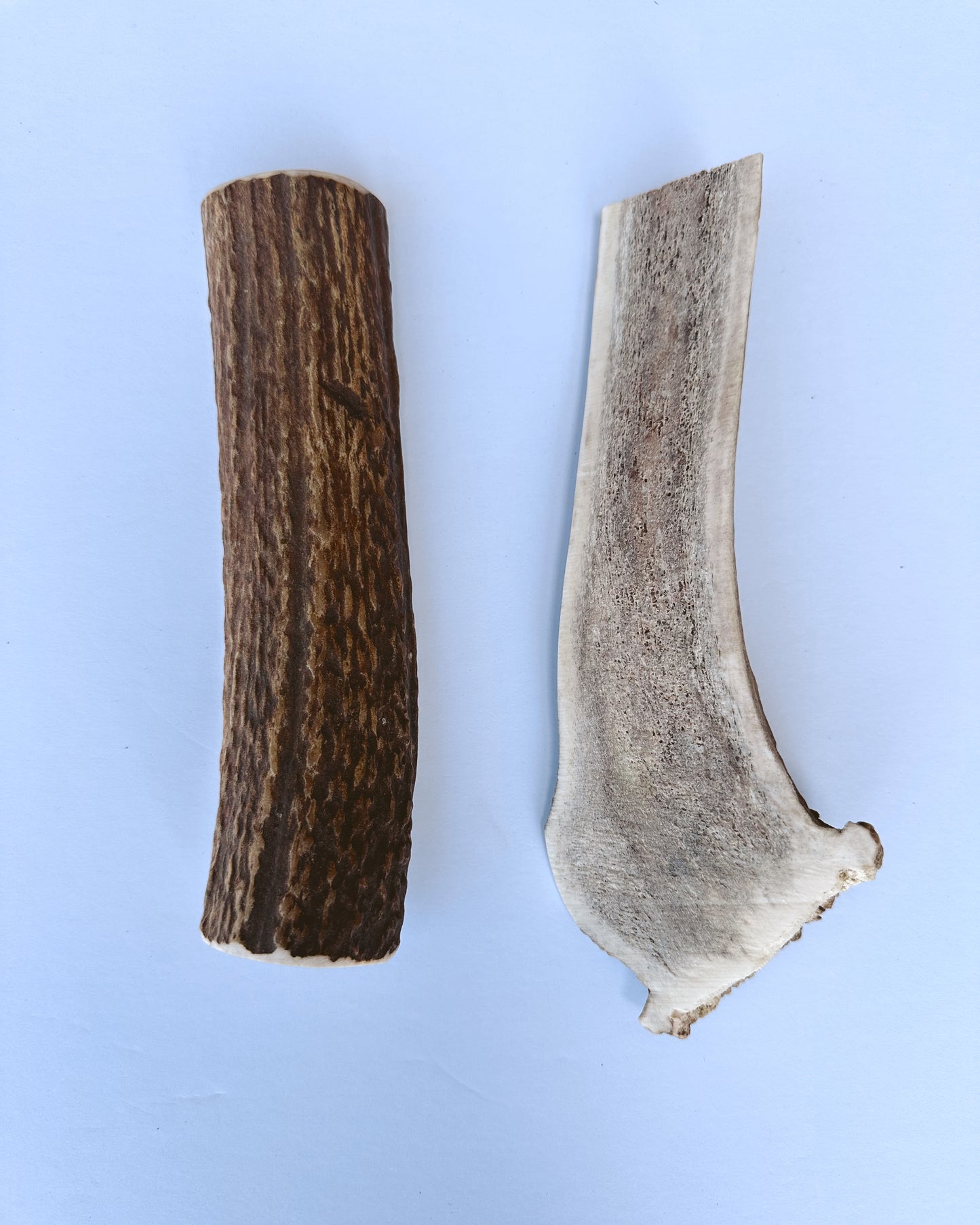 Split Elk Antler Chews: All Sizes