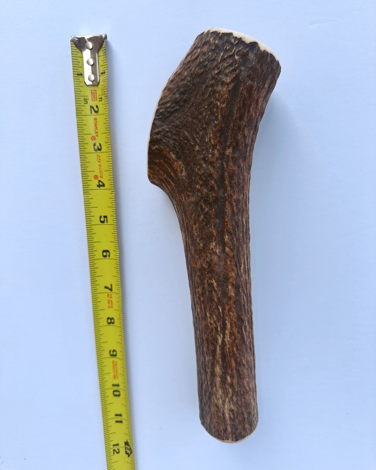 Jumbo Elk Antler Dog Chew
