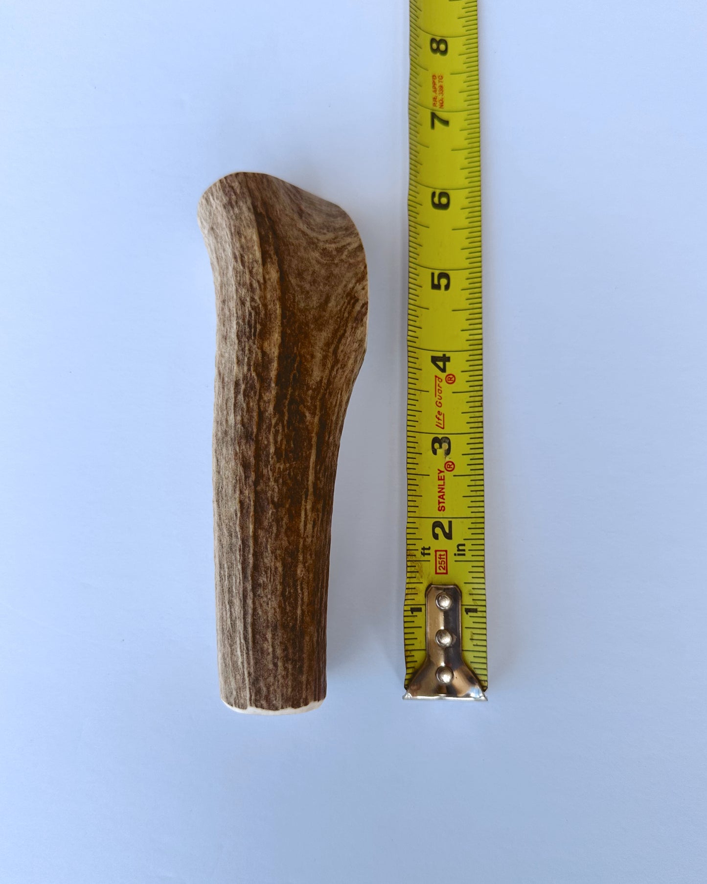 Medium Elk Antler Dog Chew