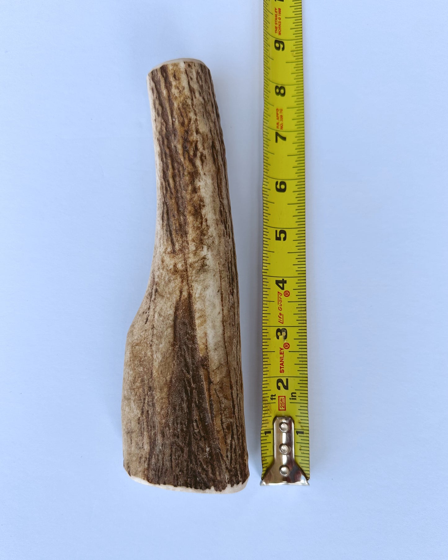 Large Elk Antler Dog Chew